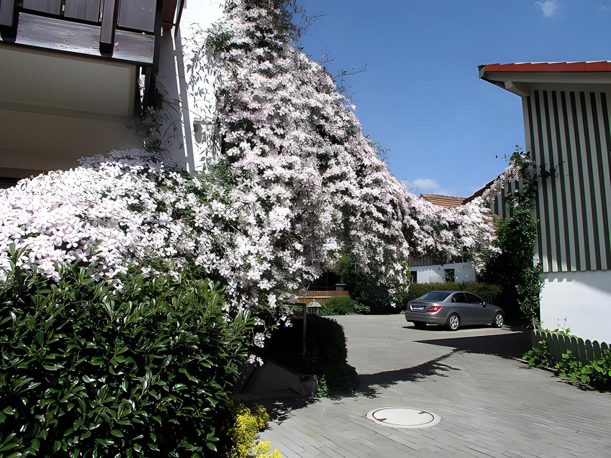 Gaestehaus Gutensohn 瓦瑟堡 外观 照片
